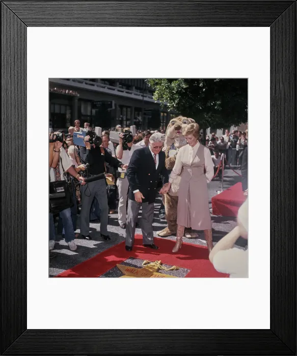 Framed Print : Julie Andrews Hollywood Walk Of Fame Star Ceremony Framed Print : Julie Andrews Hollywood Walk Of Fame Star Ceremony