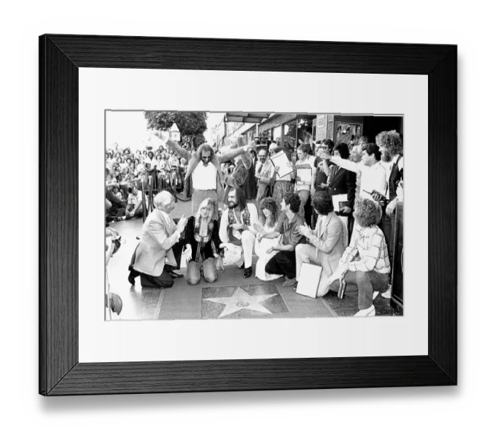 Framed Print : Fleetwood Mac Framed Print : Fleetwood Mac