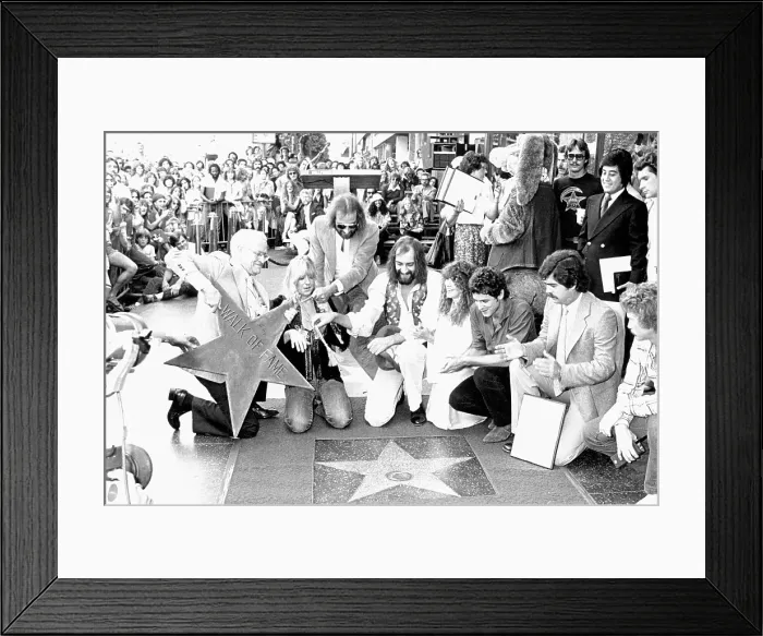 Framed Print : Fleetwood Mac Framed Print : Fleetwood Mac