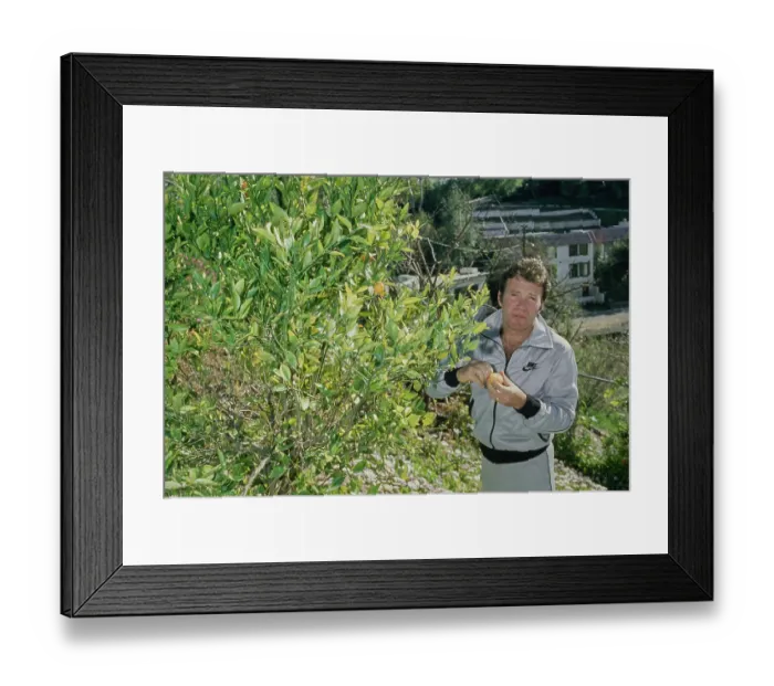 Framed Print : William Shatner, Canadian Actor Framed Print : William Shatner, Canadian Actor