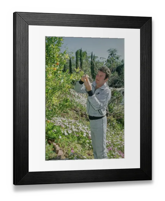 Framed Print : William Shatner, Canadian Actor Framed Print : William Shatner, Canadian Actor