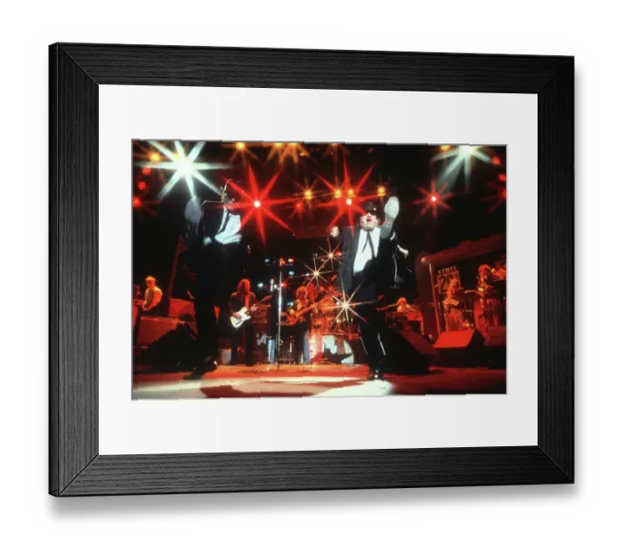 Framed Print : The Blues Brothers Live Framed Print : The Blues Brothers Live