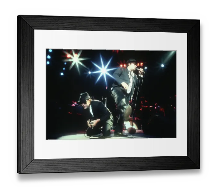 Framed Print : The Blues Brothers In Concert