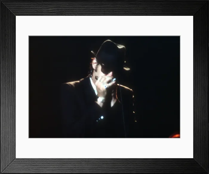 Framed Print : The Blues Brothers In Concert Framed Print : The Blues Brothers In Concert