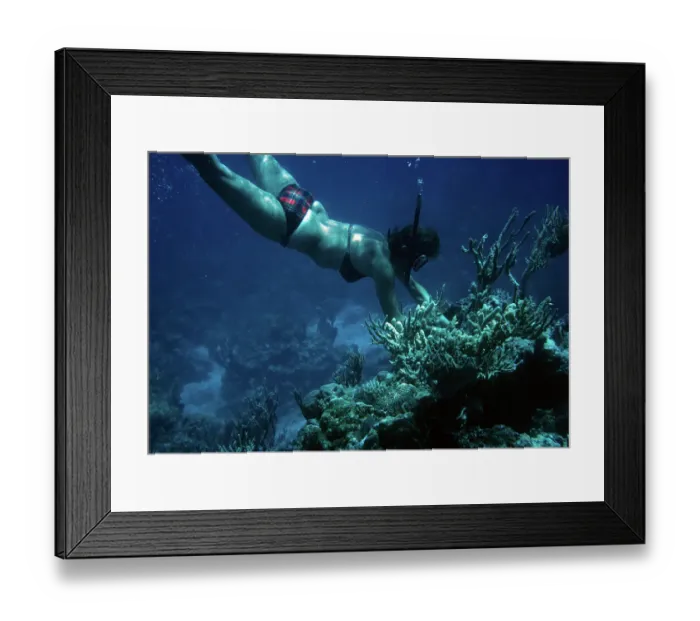 Framed Print : Tetiaroa Island Framed Print : Tetiaroa Island