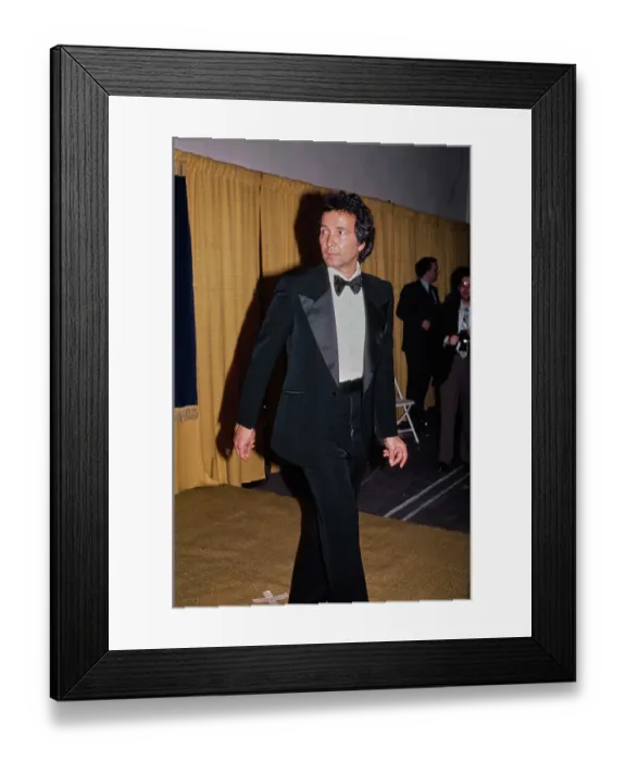 Framed Print : 23rd Annual Grammy Awards Framed Print : 23rd Annual Grammy Awards