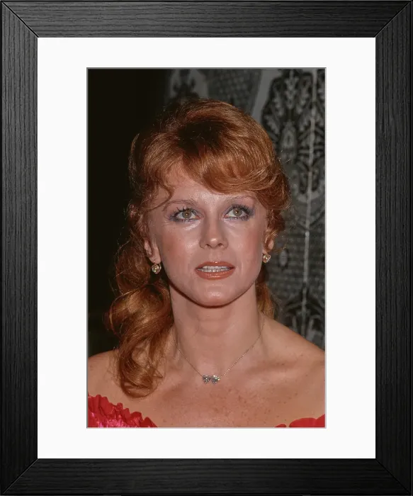 Framed Print : Beverly Hills Chambers Of Commerce Honours Ann-Margret Framed Print : Beverly Hills Chambers Of Commerce Honours Ann-Margret