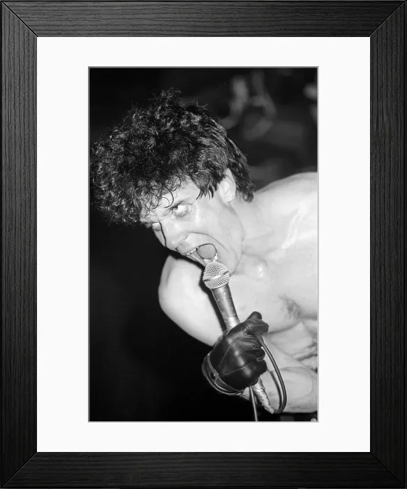 Framed Print : The Cramps at The Roxy Framed Print : The Cramps at The Roxy