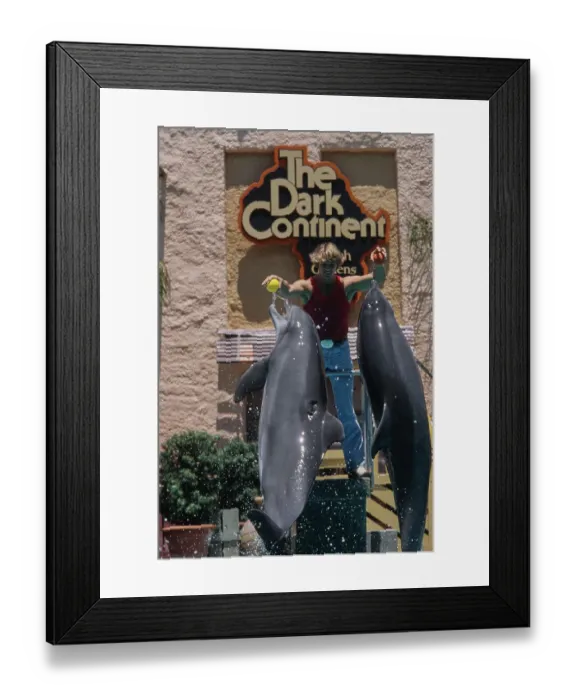 Framed Print : John Schneider, Busch Gardens Tampa Bay Framed Print : John Schneider, Busch Gardens Tampa Bay
