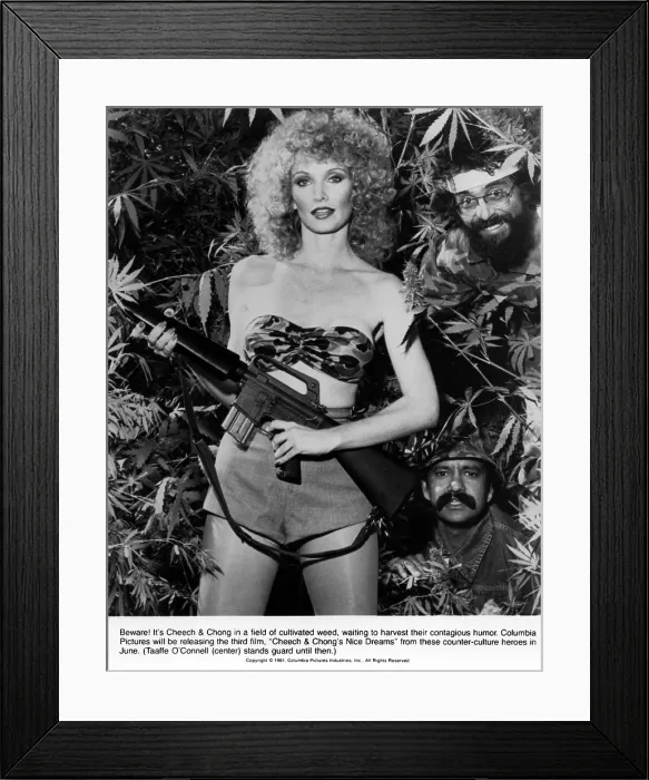 Framed Print : Cheech And Chong's Nice Dreams Film Still Framed Print : Cheech And Chong's Nice Dreams Film Still