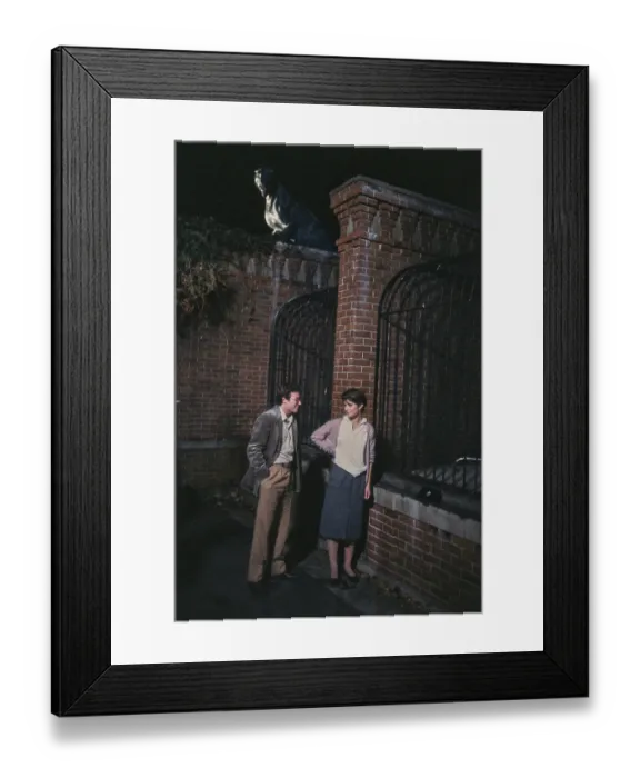 Framed Print : Nastassja Kinski Filming Cat People, 1981 Framed Print : Nastassja Kinski Filming Cat People, 1981