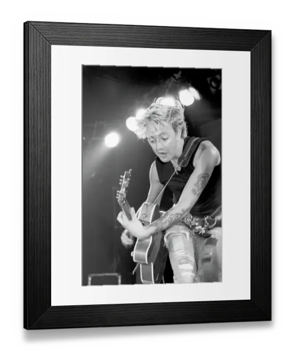 Framed Print : Photo of Stray Cats Framed Print : Photo of Stray Cats