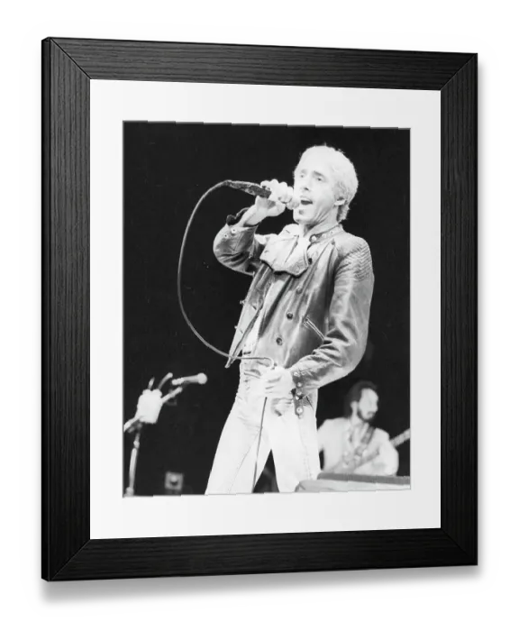 Framed Print : The Who Singer Performing Framed Print : The Who Singer Performing
