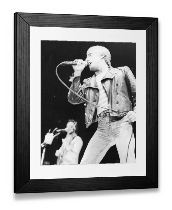 Framed Print : The Who Singer Performing Framed Print : The Who Singer Performing