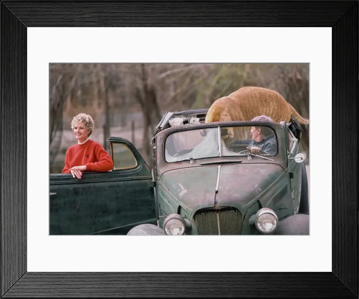 Framed Print : Shambala Preserve, Acton, California Framed Print : Shambala Preserve, Acton, California