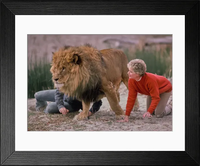 Framed Print : Shambala Preserve, Acton, California Framed Print : Shambala Preserve, Acton, California