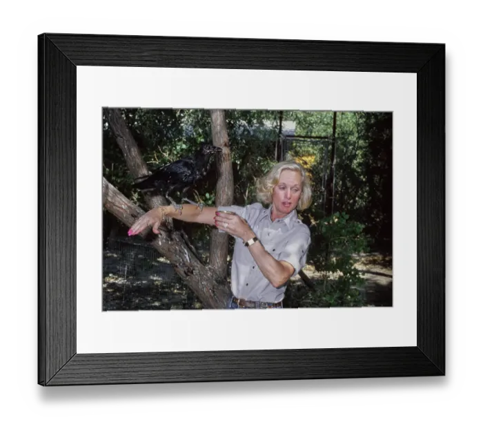 Framed Print : Shambala Preserve, Acton, California Framed Print : Shambala Preserve, Acton, California