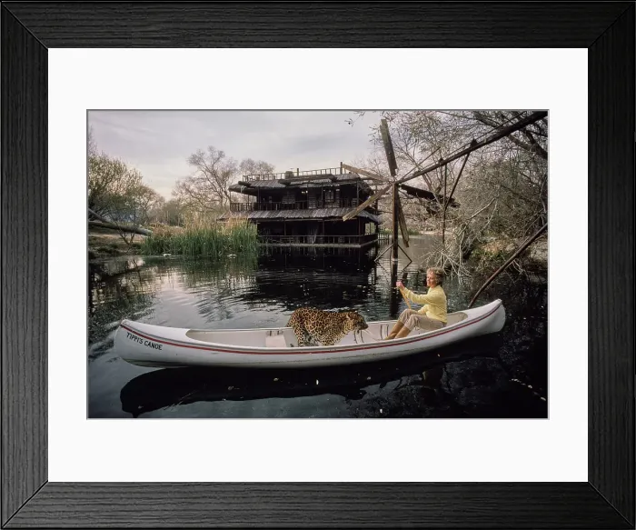 Framed Print : Shambala Preserve, Acton, California Framed Print : Shambala Preserve, Acton, California