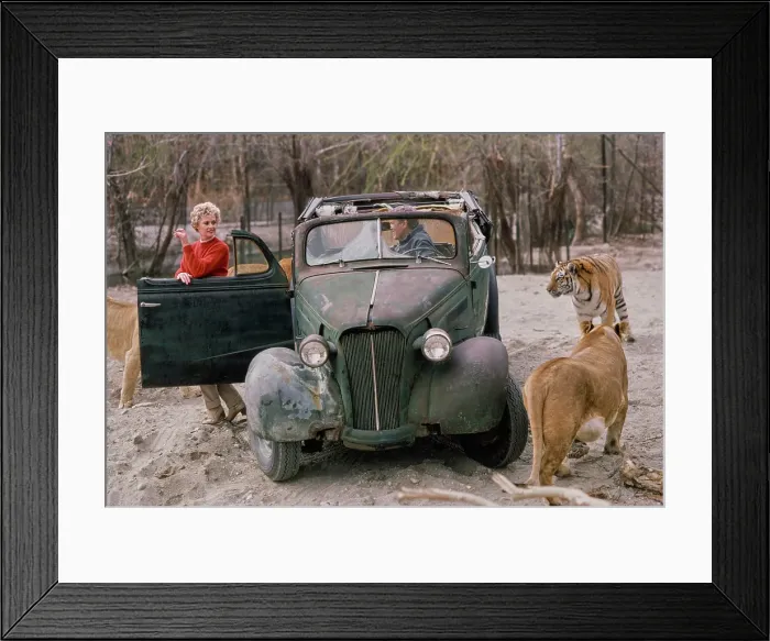 Framed Print : Shambala Preserve, Acton, California Framed Print : Shambala Preserve, Acton, California