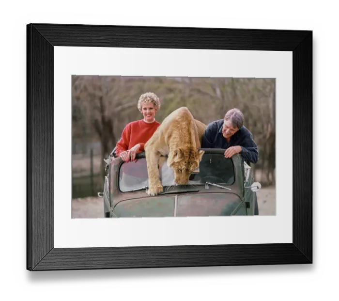 Framed Print : Shambala Preserve, Acton, California Framed Print : Shambala Preserve, Acton, California