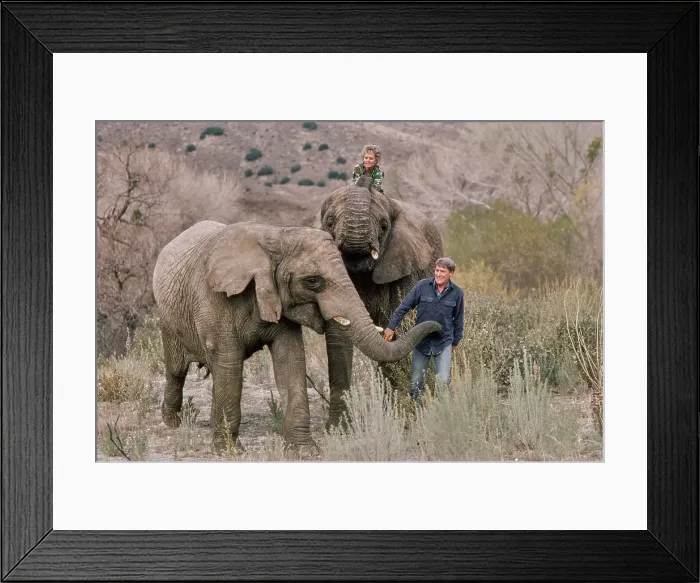 Framed Print : Shambala Preserve, Acton, California Framed Print : Shambala Preserve, Acton, California