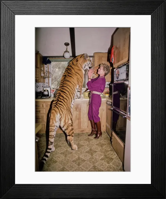 Framed Print : Shambala Preserve, Acton, California Framed Print : Shambala Preserve, Acton, California
