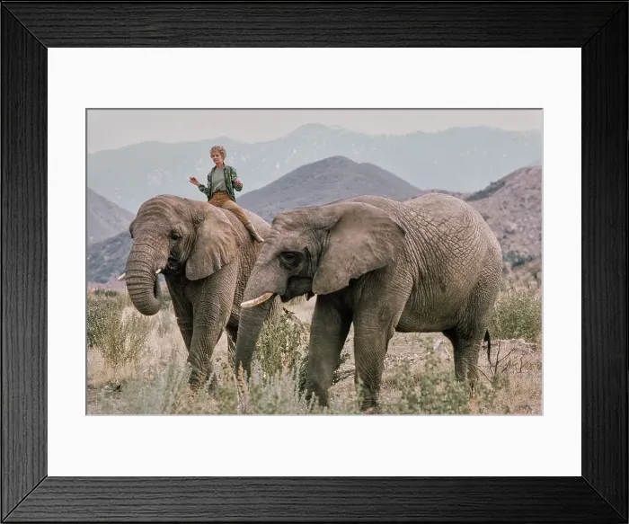 Framed Print : Shambala Preserve, Acton, California Framed Print : Shambala Preserve, Acton, California
