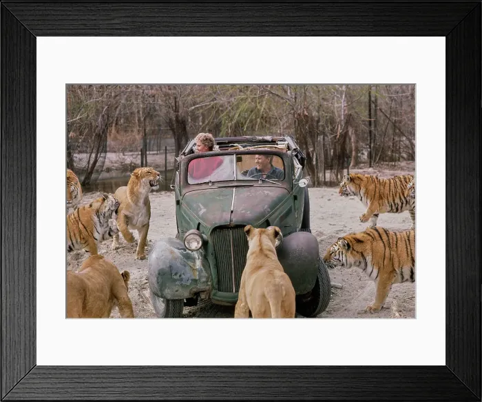 Framed Print : Shambala Preserve, Acton, California Framed Print : Shambala Preserve, Acton, California