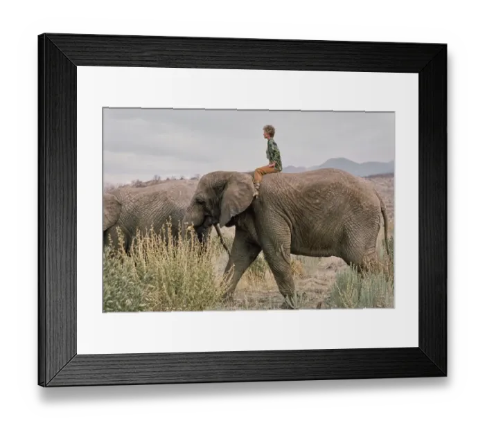 Framed Print : Shambala Preserve, Acton, California