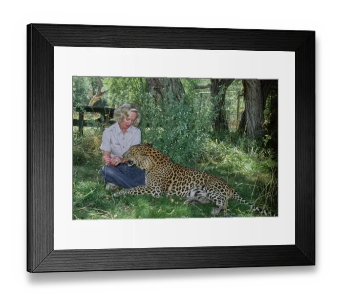 Framed Print : Shambala Preserve, Acton, California Framed Print : Shambala Preserve, Acton, California