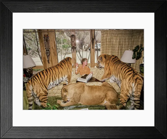 Framed Print : Shambala Preserve, Acton, California Framed Print : Shambala Preserve, Acton, California