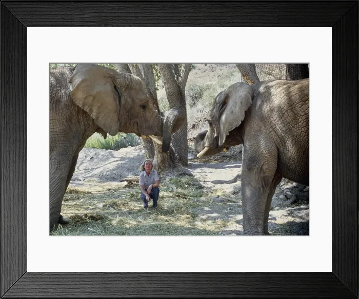 Framed Print : Shambala Preserve, Acton, California Framed Print : Shambala Preserve, Acton, California