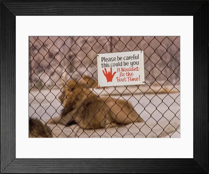 Framed Print : Shambala Preserve, Acton, California Framed Print : Shambala Preserve, Acton, California