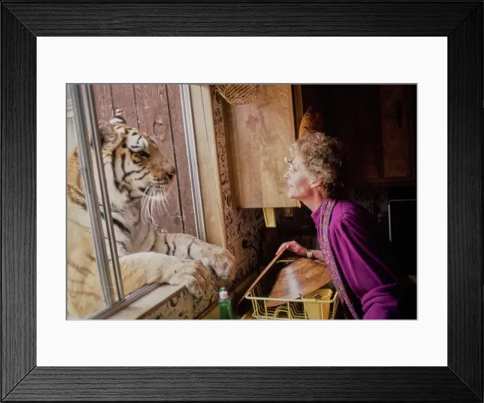 Framed Print : Shambala Preserve, Acton, California Framed Print : Shambala Preserve, Acton, California