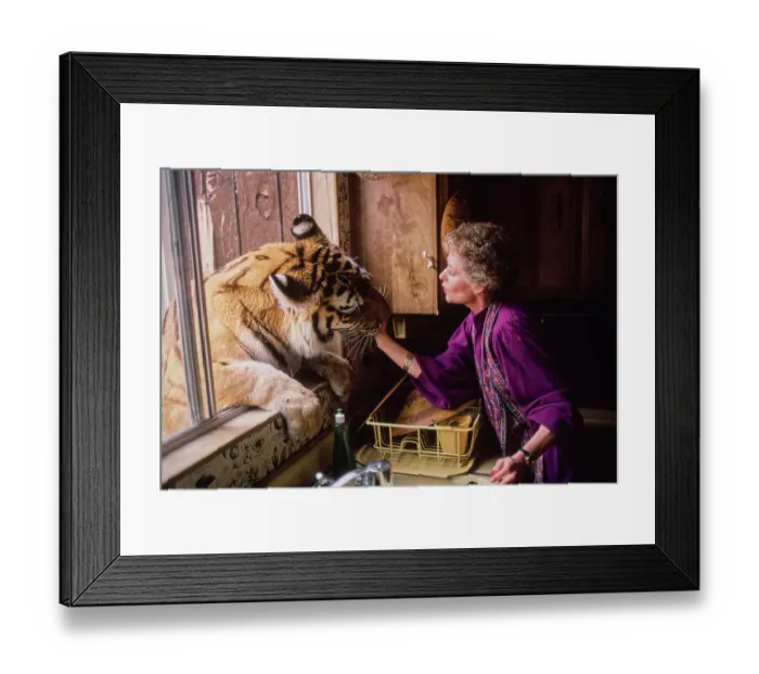 Framed Print : Shambala Preserve, Acton, California Framed Print : Shambala Preserve, Acton, California