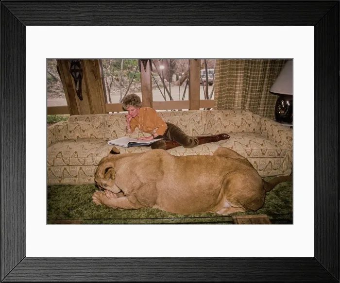 Framed Print : Shambala Preserve, Acton, California Framed Print : Shambala Preserve, Acton, California