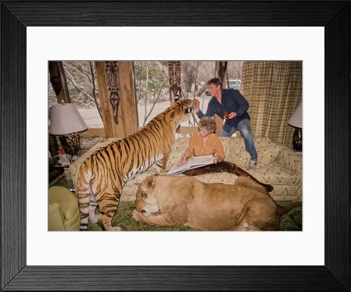 Framed Print : Shambala Preserve, Acton, California Framed Print : Shambala Preserve, Acton, California