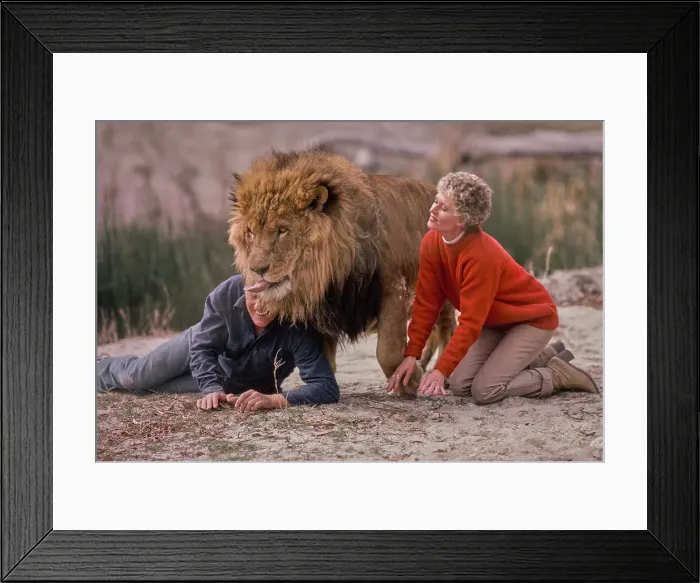 Framed Print : Shambala Preserve, Acton, California Framed Print : Shambala Preserve, Acton, California