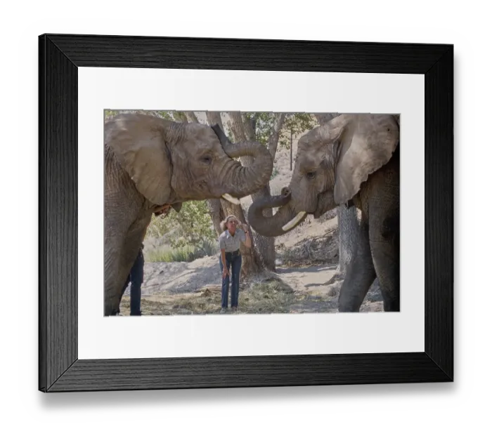 Framed Print : Shambala Preserve, Acton, California Framed Print : Shambala Preserve, Acton, California