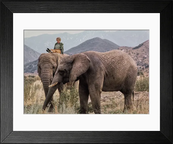 Framed Print : Shambala Preserve, Acton, California Framed Print : Shambala Preserve, Acton, California