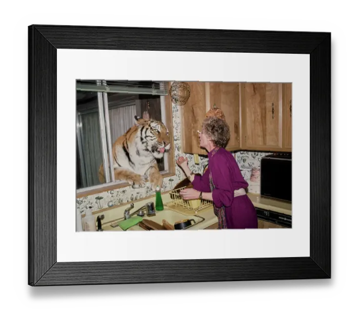 Framed Print : Shambala Preserve, Acton, California Framed Print : Shambala Preserve, Acton, California