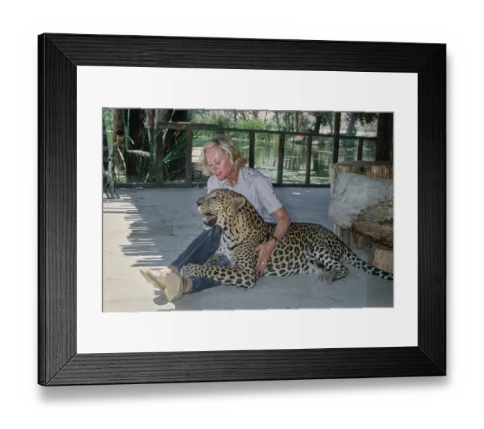 Framed Print : Shambala Preserve, Acton, California Framed Print : Shambala Preserve, Acton, California