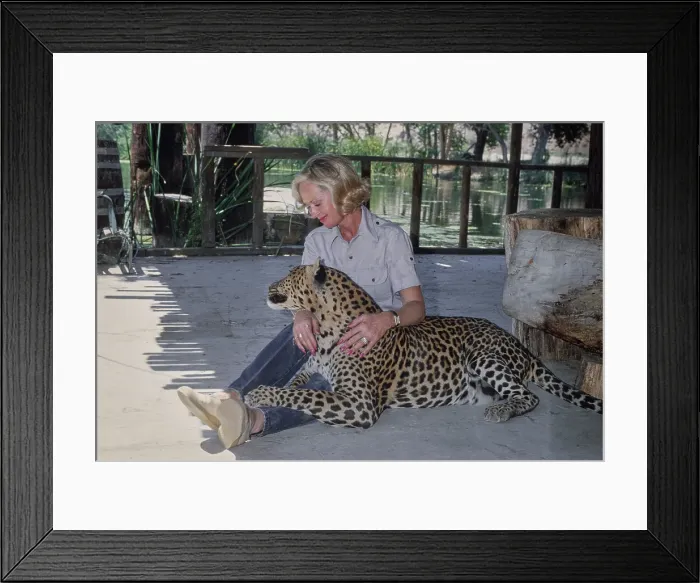 Framed Print : Shambala Preserve, Acton, California Framed Print : Shambala Preserve, Acton, California