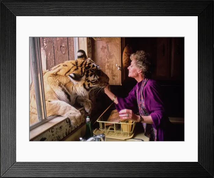 Framed Print : Shambala Preserve, Acton, California Framed Print : Shambala Preserve, Acton, California