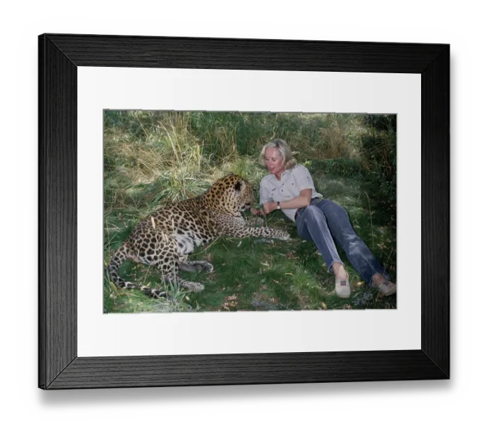 Framed Print : Shambala Preserve, Acton, California Framed Print : Shambala Preserve, Acton, California
