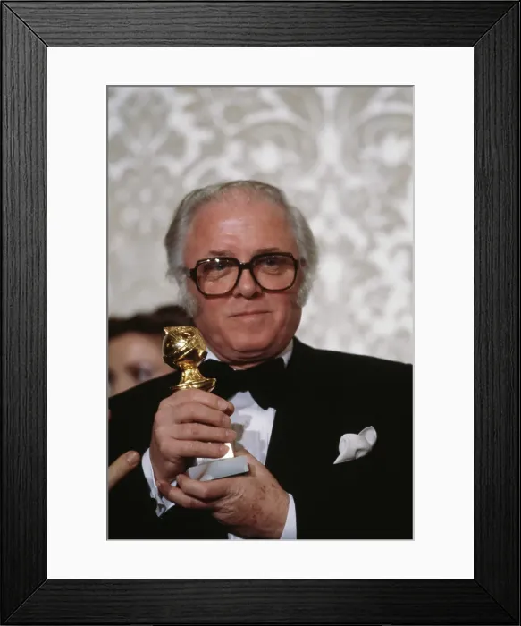 Framed Print : 40th Annual Golden Globe Awards Framed Print : 40th Annual Golden Globe Awards