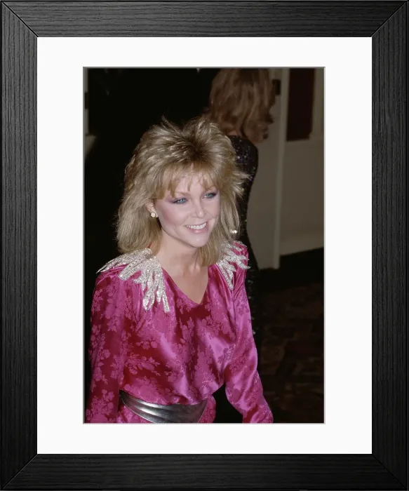 Framed Print : 40th Annual Golden Globe Awards Framed Print : 40th Annual Golden Globe Awards