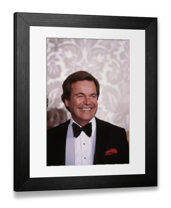Framed Print : 40th Annual Golden Globe Awards Framed Print : 40th Annual Golden Globe Awards