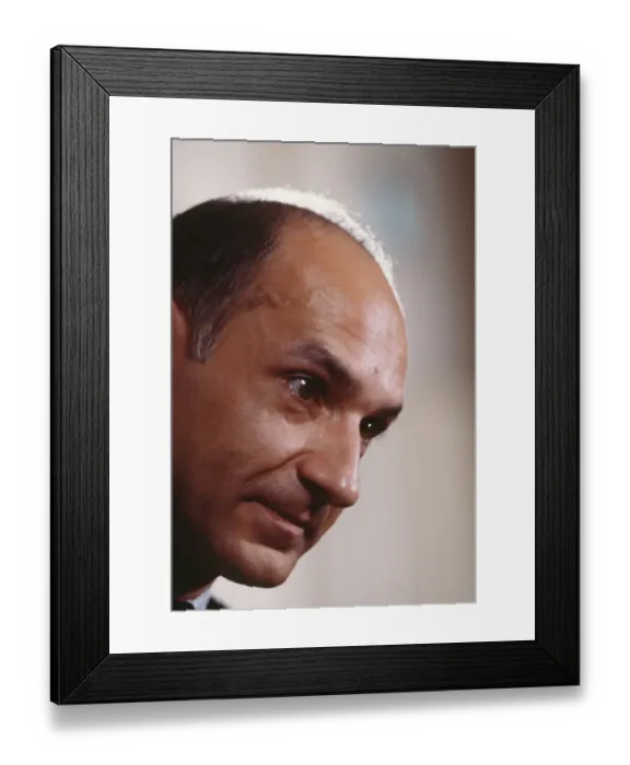 Framed Print : 40th Annual Golden Globe Awards Framed Print : 40th Annual Golden Globe Awards