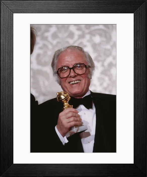 Framed Print : 40th Annual Golden Globe Awards Framed Print : 40th Annual Golden Globe Awards